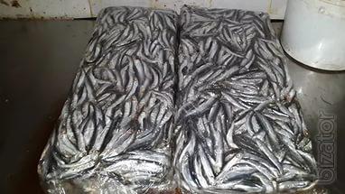 Продаём морскую мелкую рыбу Продаём морскую мелкую рыбу