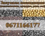 Куплю зерноотход Куплю зерноотход