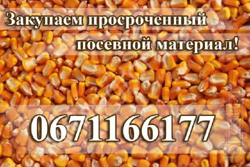 Куплю семена без всхожести Куплю семена без всхожести