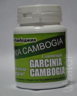 Купить Гарциния Камбоджийская (Garcinia Cambogia) Экстракт для быстрого похудения оптом от 10 шт Купить Гарциния Камбоджийская (Garcinia Cambogia) Экстракт для быстрого похудения оптом от 10 шт