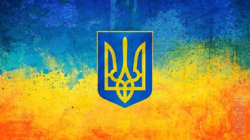 Политическая партия ищет инвестора Политическая партия ищет инвестора