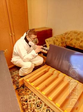 Травля тараканов, блох, клещей Одесса. Дезинфекция Травля тараканов, блох, клещей Одесса. Дезинфекция