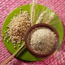 Продам Крупу пшеничную Продам Крупу пшеничную