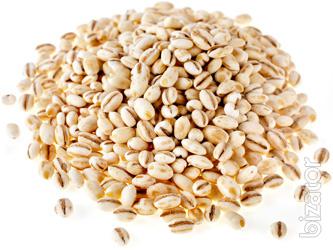 Продам Крупу перловую Продам Крупу перловую