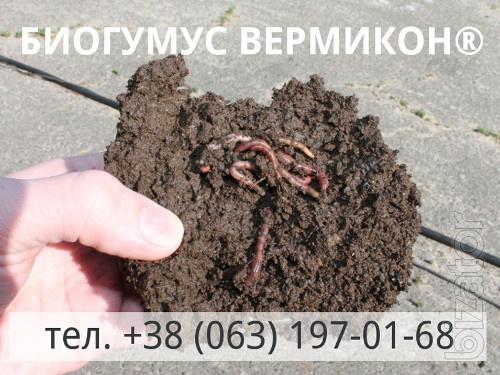 Органическое удобрение Биогумус ВЕРМИКОН® Органическое удобрение Биогумус ВЕРМИКОН®