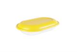 The plastic food container.