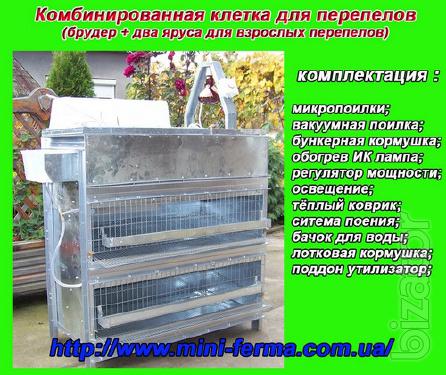 Хозяйственная клетка для перепелов Хозяйственная клетка для перепелов