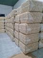 Wholesale cashew nuts supplier | Cashew processing company