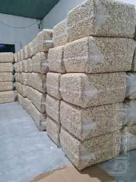Wholesale cashew nuts supplier | Cashew processing company 