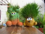 Travanti-ecologici or "live" toys 