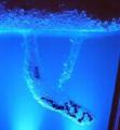 Ant farm (large)