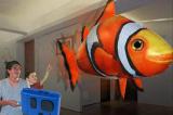 the flying fish on the management