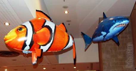 Flying fish 