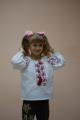Kid's|women's Shirt (criticalcase 