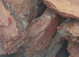 The bark for mulching