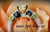 www.bgs.kiev.ua brief 56_0_0.html