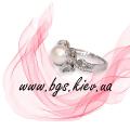 www.bgs.kiev.ua brief 56_0_0.html