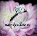 www.bgs.kiev.ua brief 56_0_0.html