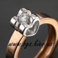www.bgs.kiev.ua brief 56_0_0.html