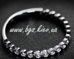 www.bgs.kiev.ua brief 56_0_0.html