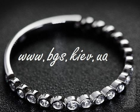www.bgs.kiev.ua brief 56_0_0.html