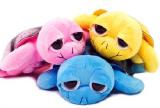 Toys , tents, trampolines, play centres, swimming pools ,bikes - best price!