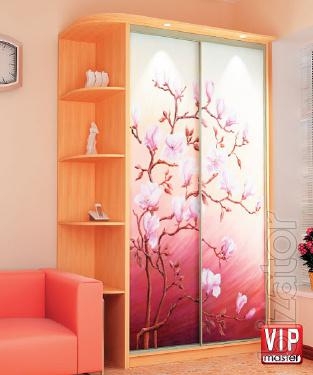Wardrobe door 