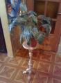 Cell phone holder, statue, vase 