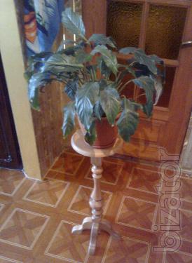 Cell phone holder, statue, vase 