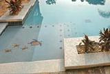 Application for pools with 3D effect