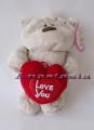 Fizzy moon Teddy bear