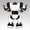 WowWee Mini humanoid Robot Robosapien (Robosapien) 