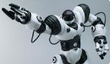 WowWee Mini humanoid Robot Robosapien (Robosapien) 