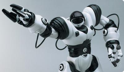 WowWee Mini humanoid Robot Robosapien (Robosapien) 