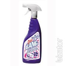 household chemicals Italy 