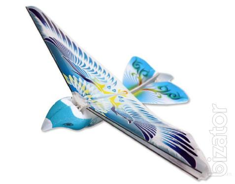 Bird E-bird 