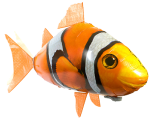 Flying fish 