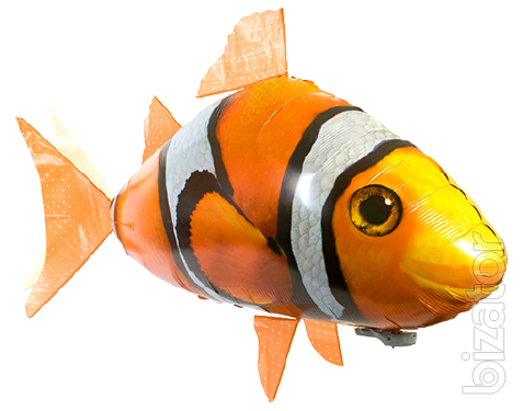 Flying fish 