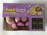 Tortoise Starry Sky Music wholesale 
