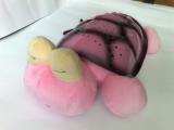 Tortoise Starry Sky Music wholesale 