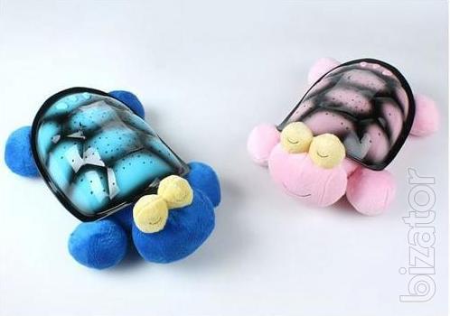 Tortoise Starry Sky Music wholesale 
