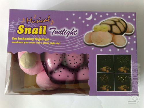Tortoise Starry Sky Music wholesale 