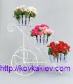 Wrought iron stand for flowers Bikes. 