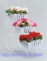 Wrought iron flower stands rustic.