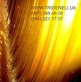 Agger Trideneli (Tribunali) - wall 3