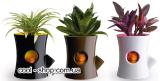 Protein in the pot, to buy the pot with a squirrel, buy the original pot for flowers as a gift, buy, Zach