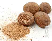 Walnut ground nutmeg 