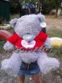 Large Teddy bear