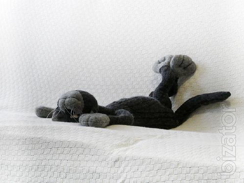 Cat Valerian 
