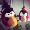 Angry birds